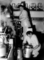 Dinner ladies at work in the kitchens, Southey Green Middle School, Crowder Avenue