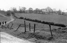 Looking South from Lees Hall Farm towards Cockshutt Farm hidden in the trees, with its approach road. The field on the right was turned intoallotments in the 1970's but was soon abandoned