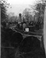 Gravestones, General Cemetery looking towards Broomhill Gravestones, General Cemetery looking towards Broomhill