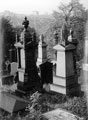 Gravestones, General Cemetery looking towards Broomhill Gravestones, General Cemetery looking towards Broomhill