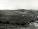 Site of the Base Green Estate before the commencement of works with Base Green Farm in the background (centre)
