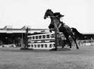 Show Jumping Grand Final, Sheffield and Hallamshire Championship, Owlerton Sports Stadium