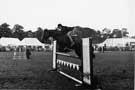 Show Jumping Grand Final, Sheffield and Hallamshire Championship, Owlerton Sports Stadium