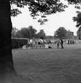 Unidentified Show Jumping Event, Hillsborough Park with Hillsborough Library formerly Hillsborough Hall in the background Unidentified Show Jumping Event, Hillsborough Park with Hillsborough Library formerly Hillsborough Hall in the background