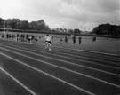 A Sprint Race, Hillsborough Park Sports Stadium, Hillsborough Park 