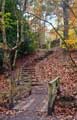 Footbridge and steps in Ecclesall Woods