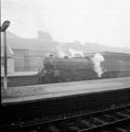 View: v00558 B1 steam locomotive 61039 Steinbok at Sheffield Midland railway station