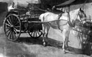 William C. Maycock's Farm Dairy Milk Float, Wincobank pulled by 'Tommy'