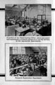 Page from a souvenir booklet by J.G. Graves Ltd., mail order suppliers, showing Westville Offices, section of the Postal Sorting Office and Accounts Registration Department Page from a souvenir booklet by J.G. Graves Ltd., mail order suppliers, showing Westville Offices, section of the Postal Sorting Office and Accounts Registration Department