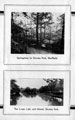 Page from a souvenir booklet by J.G. Graves Ltd., mail order suppliers, showing Graves Park lake and island Page from a souvenir booklet by J.G. Graves Ltd., mail order suppliers, showing Graves Park lake and island