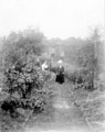 Garden at Chelsea Road, Nether Edge