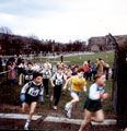 View: v02000 No. 148, Robert Rhodes, Rotherham Harriers near the front at the start of the under 11's South Yorkshire Cross Country League, Hillsborough Park