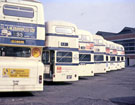 Buses 1971