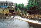 River Loxley at Hillsbrough Bridge Weir with the debris still remaing from the flood