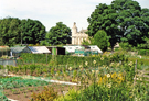 Allotments, with Crookes cemetery behind