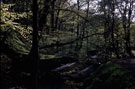 Rivelin Glen Weir