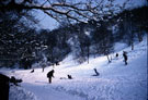 Sledging at Whiteley Woods