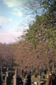View: w01918 Sheffield General Cemetery