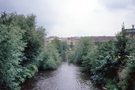 River Don from Washford Bridge