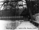Bathing Dam, previously the dam belonging to Endcliffe Wheel, Endcliffe Woods
