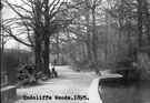 Endcliffe Woods
