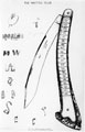 Drawing of a large clasp knife with horn handle, made by Abraham Brooksbank, Sheffield. On the handle is a metal strip, inscibed at the top 'Whittle Club' and 'Past Master Whittlers'. Below this, there is a series of names Drawing of a large clasp knife with horn handle, made by Abraham Brooksbank, Sheffield. On the handle is a metal strip, inscibed at the top 'Whittle Club' and 'Past Master Whittlers'. Below this, there is a series of names