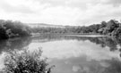 View: y01435 Dam belonging to W.A. Tyzack and Co. Ltd., scythe manufacturers, Clay Wheel Forge (also known as Hawksley), River Don at Wadsley. Photograph taken when Tyzack's were giving up the tenancy, and Messrs. Dunford and Elliott were intending to demolish w