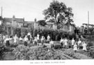 The girls on their flower plots, part of a series of lessons in Nature Study-mainly Plant Life, in the School garden by Headmaster J. Eaton Feasey, using pupils from Nethergreen School also known as Ranmoor School) The girls on their flower plots, part of a series of lessons in Nature Study-mainly Plant Life, in the School garden by Headmaster J. Eaton Feasey, using pupils from Nethergreen School also known as Ranmoor School)