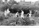 The young meteorologists', part of a series of lessons in Nature Study-mainly Plant Life, in the School garden, by Headmaster, J. Eaton Feasey, using pupils from Nethergreen School (also known as Ranmoor School) The young meteorologists', part of a series of lessons in Nature Study-mainly Plant Life, in the School garden, by Headmaster, J. Eaton Feasey, using pupils from Nethergreen School (also known as Ranmoor School)