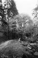 Wyming Brook, Rivelin