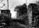 Portion of wall 'rescued' by Samuel Roberts and re-erected in grounds of Queen's Tower, Norfolk Park. Samuel Roberts who built Queen's Tower, was an admirer of Mary, Queen of Scots. Condition at time of photograph described as overgrown