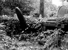 Leaning headstone, vault broken into by vandals and other headstones almost submerged in vegetation, General Cemetery. Situated on the path between the Cemetery Offices and William Parker Monument