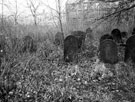 General Cemetery from below Mark Firth Walk, looking towards Porter Croft School and Bow Works, shortly before the inception of the Job Creation Scheme