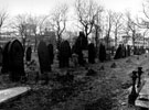 General Cemetery from below Mark Firth Walk looking towards Montague Street, immediately after completion of the Job Creation Scheme