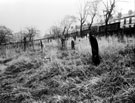 General Cemetery showing eastern corner of cemetery, adjoining Cemetery Road, shortly before the inception of the Job Creation Scheme