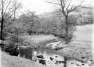 Ewden Beck near More Hall, Ewden Valley