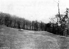The thirteenth green looking towards Ladies Spring Wood, Beauchief municipal golf course