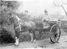 Horse drawn dog cart and driver