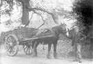 Horse drawn cart and driver
