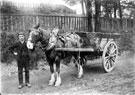 Horse drawn cart and driver