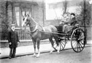 Driver, passenger and horse drawn cart
