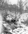 Black Brook, Rivelin Valley in the Snow