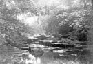 River Rivelin