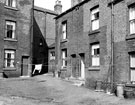 Rear of Nos. 88 (exteme left), 90, Sedan Street; Nos. 50 (window extreme right) , 48 and 46 , Carwood Road