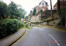 Fallen tree, Crabtree Road, Shirecliffe Fallen tree, Crabtree Road, Shirecliffe