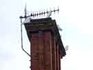 Stainless steel pigeon shapes on the chimney stack of a building on St Paul's Parade.