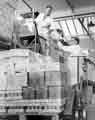 Batchelors Peas Ltd. Harry Pearson helping to get deliveries ready, c. late 1960s. Batchelors Peas Ltd. Harry Pearson helping to get deliveries ready, c. late 1960s.