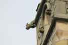 Gargoyle on the Catholic Apostolic Church, Victoria Street