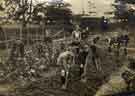 Whiteley Wood Open Air School (also known as Whiteley Wood Open Air Recovery School): group of children gardening
