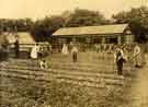Whiteley Wood Open Air School (also known as Whiteley Wood Open Air Recovery School): group of children gardening
